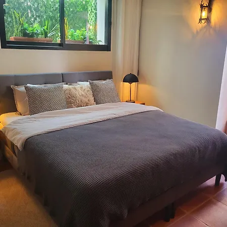 Appartement Casinha Antiga Historical Townhouse *
